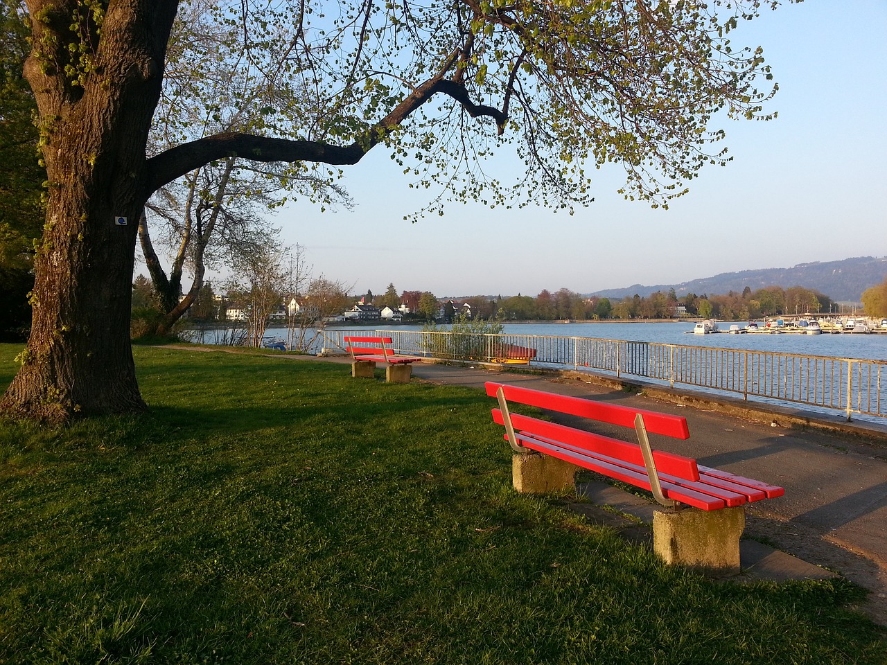 慧的回顾与 慧的回顾与