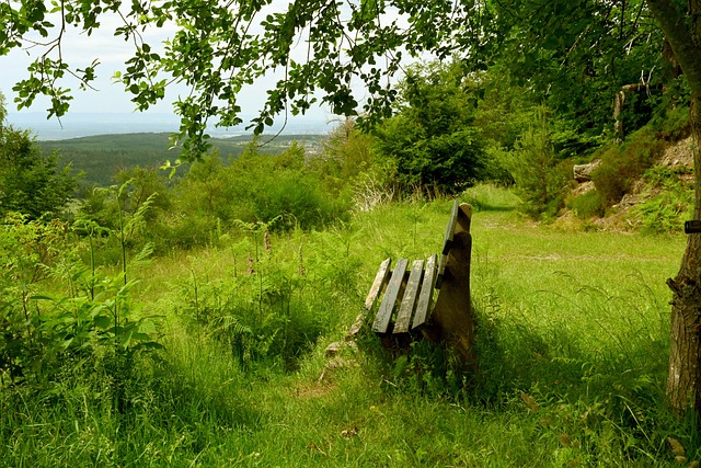 策略和侵略 策略和侵略